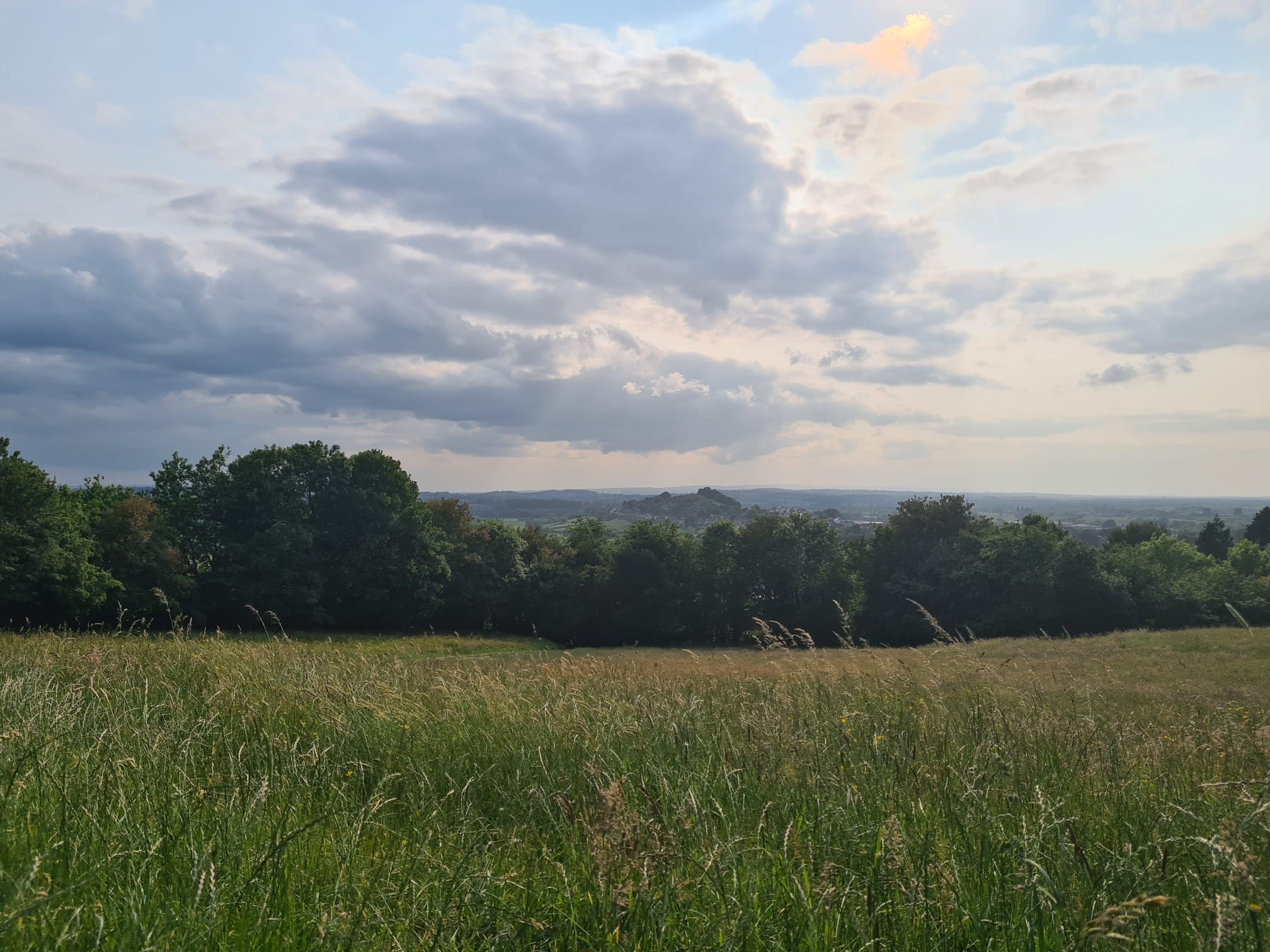 glastonbury fields